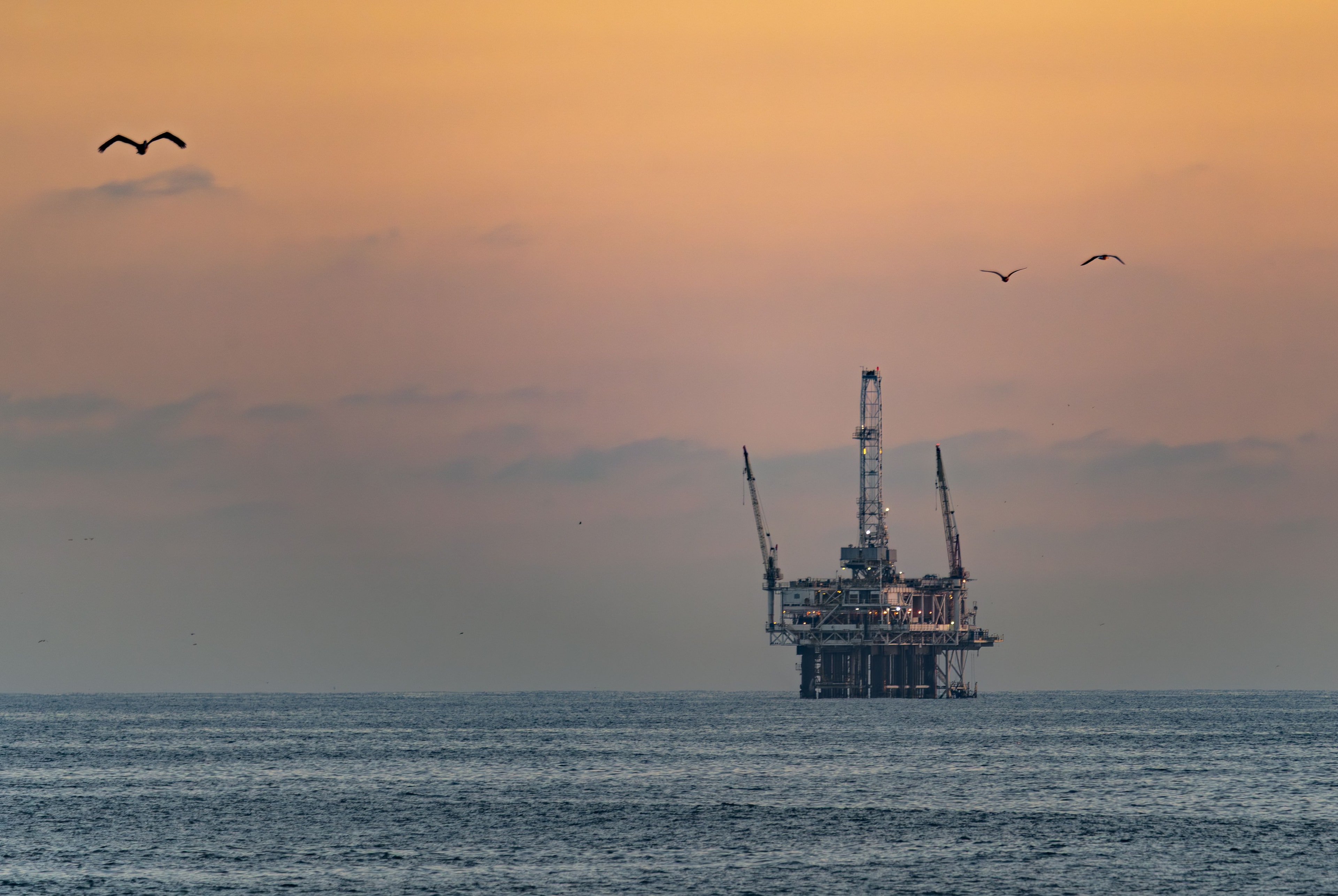 Offshore marine platform and support vessels