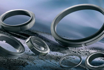 Mechanical Seal Ring